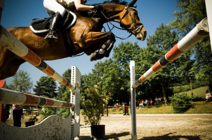 XIV Campionati Italiani di Equitazione Fisdir, un grande successo