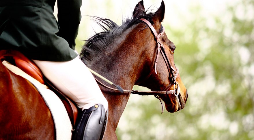 Annullato il Campionato Italiano di Equitazione